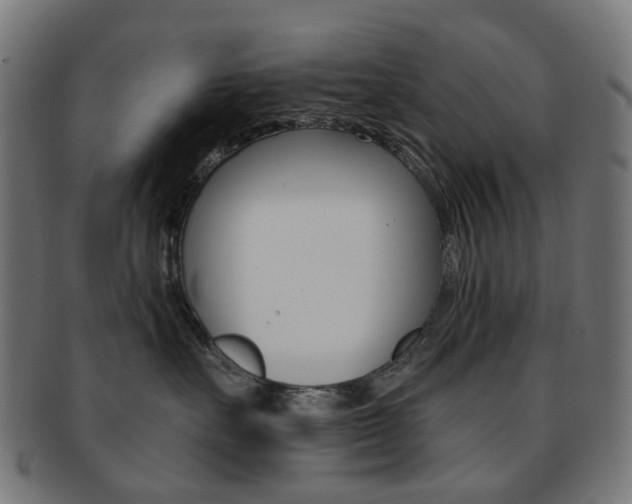 X0000092030527200709061353