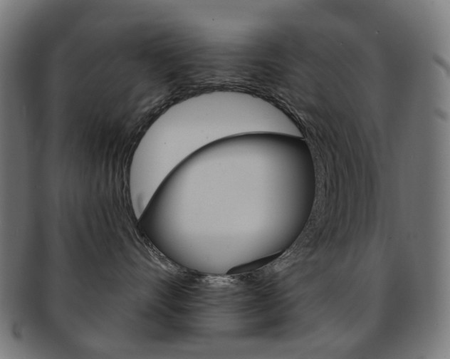 X0000092030528200709061353