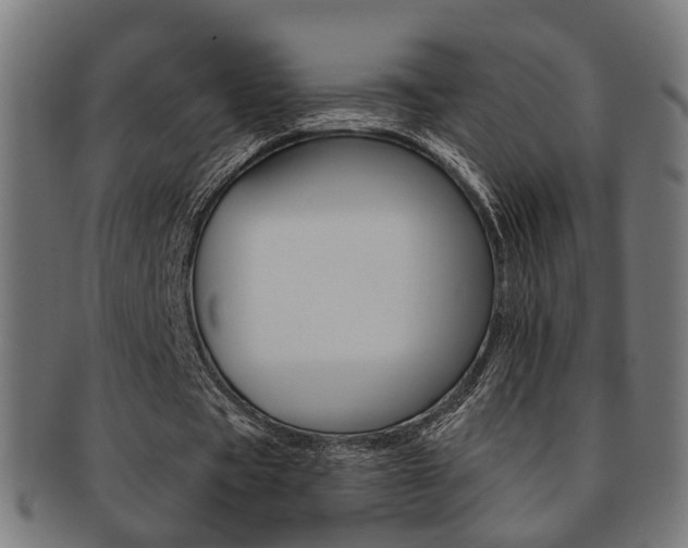 X0000092030529200709061352