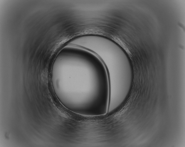 X0000092030530200709061352