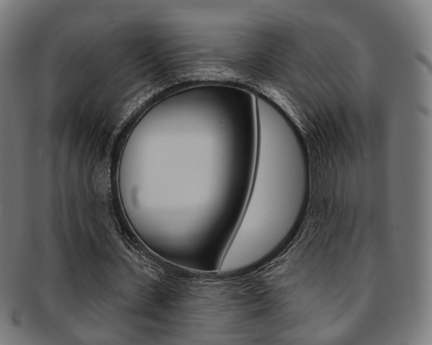 X0000092030531200709061352