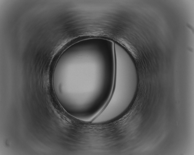 X0000092030532200709061353