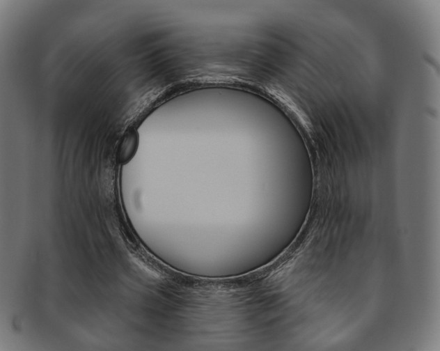 X0000092030533200709061353
