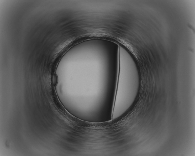 X0000092030535200709061353