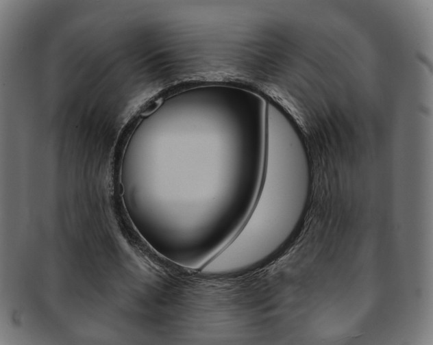 X0000092030536200709061353