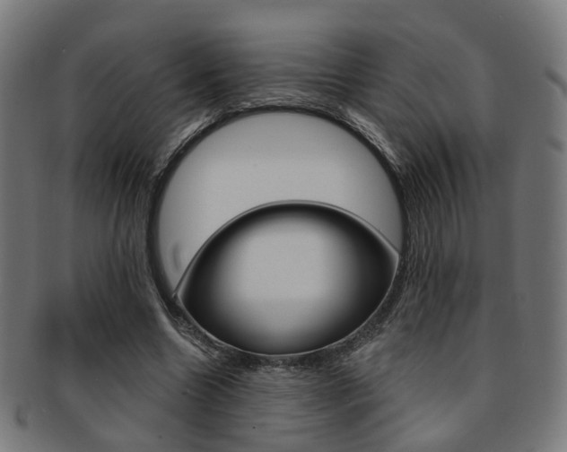 X0000092030538200709061353