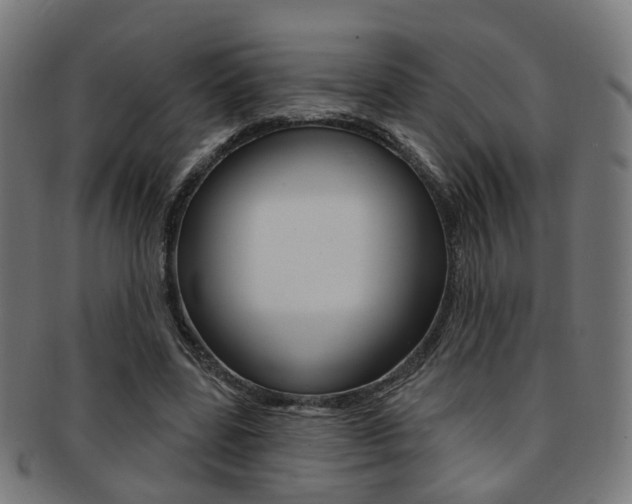 X0000092030539200709061353