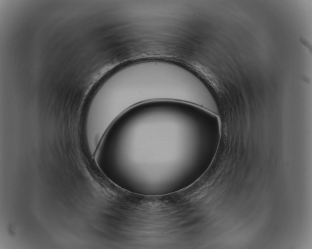 X0000092030540200709061353