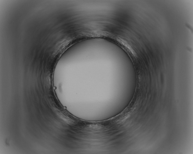 X0000092030541200709061353
