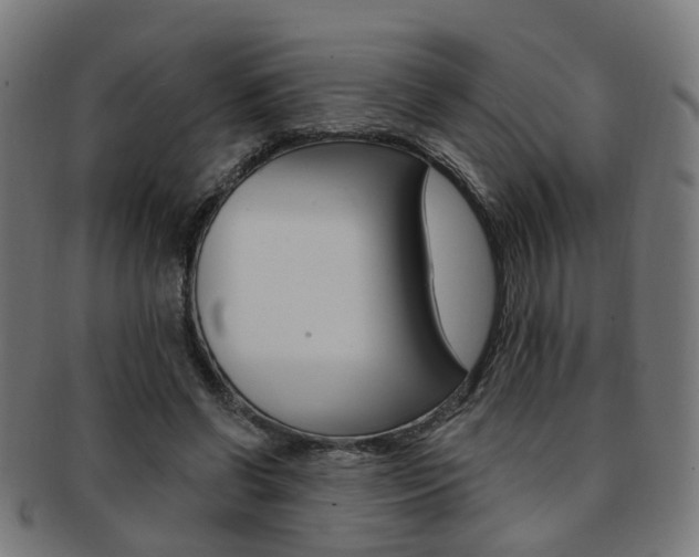 X0000092030542200709061353