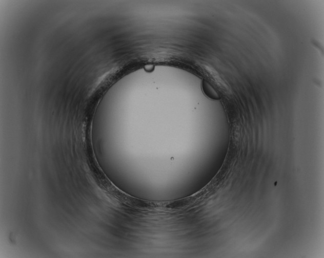 X0000092030543200709061353