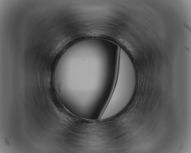 X0000092030544200709061353
