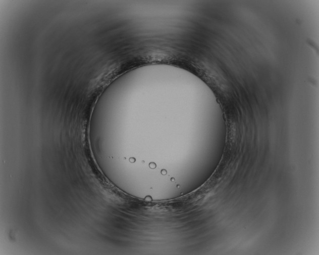 X0000092030545200709061353