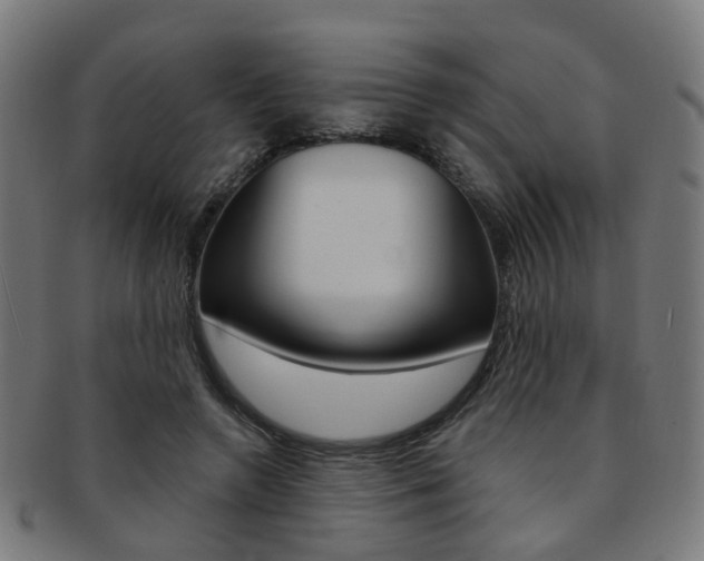 X0000092030546200709061353