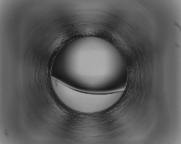 X0000092030548200709061353