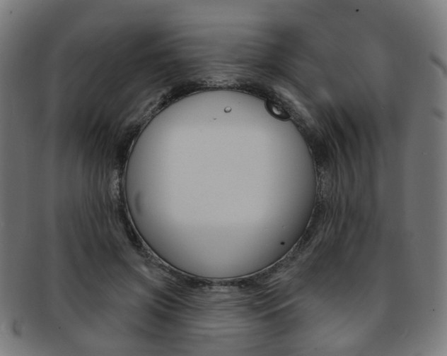 X0000092030549200709061353
