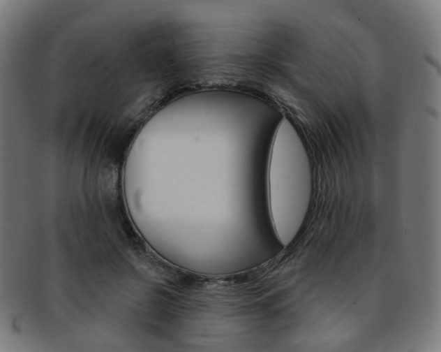 X0000092030550200709061353