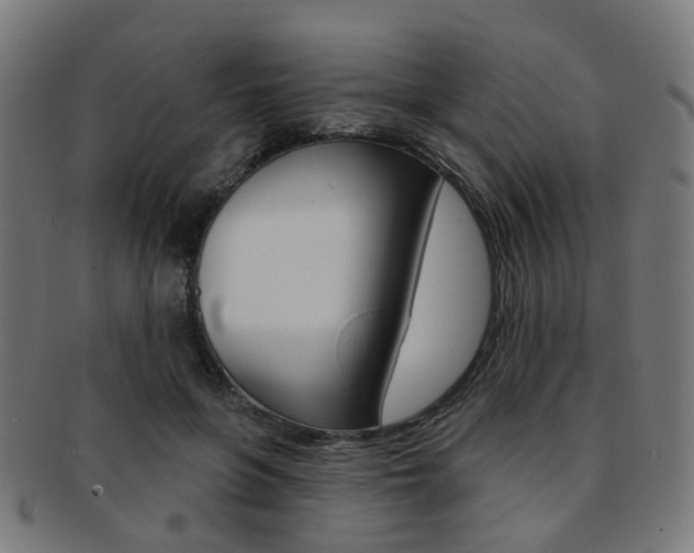 X0000092030551200709061353