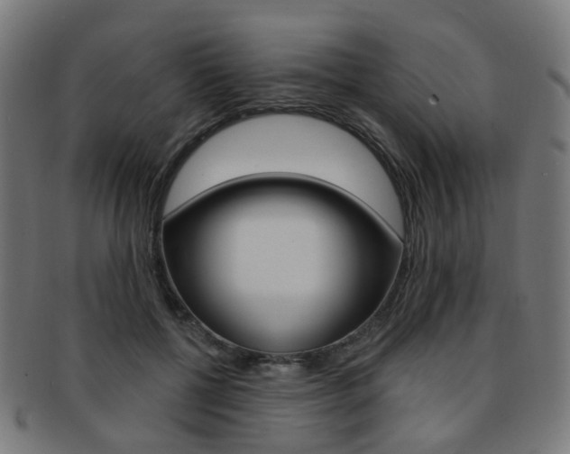 X0000092030552200709061353
