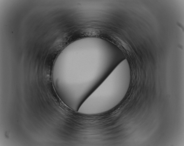 X0000092030553200709061353