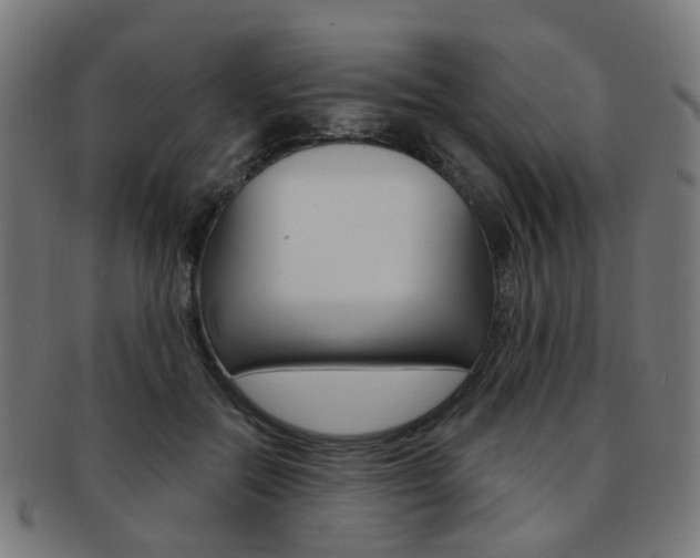 X0000092030554200709061353