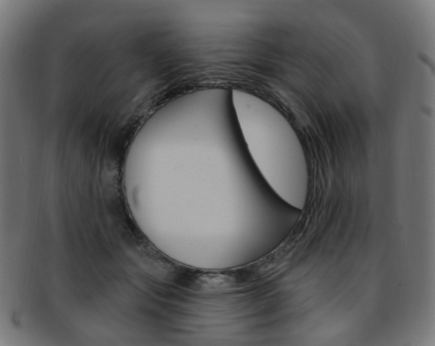 X0000092030557200709061353
