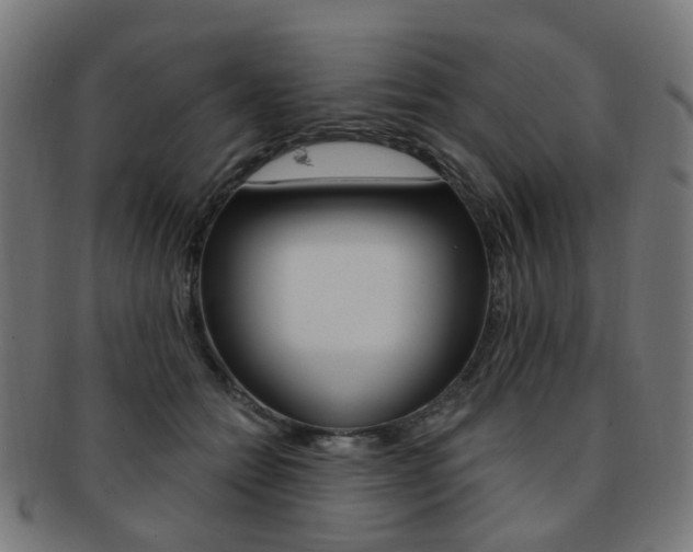 X0000092030558200709061353