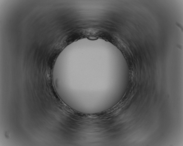 X0000092030561200709061353