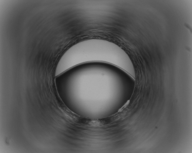 X0000092030562200709061353