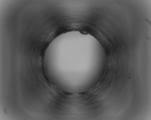 X0000092030563200709061353