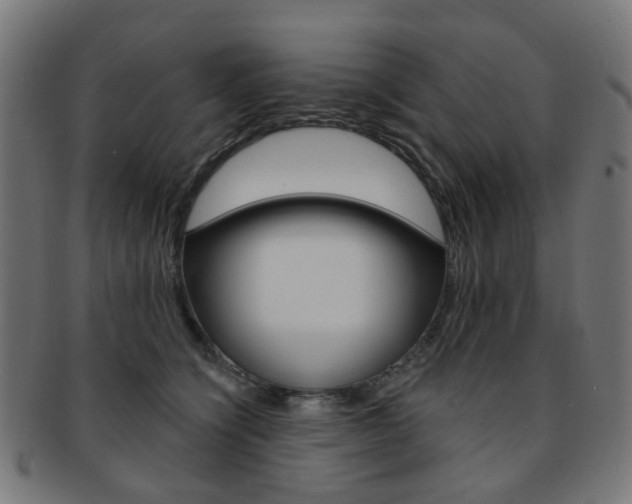 X0000092030564200709061353