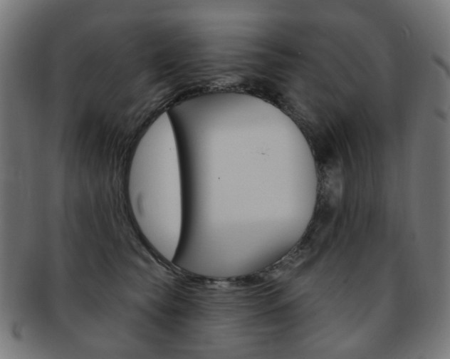 X0000092030565200709061353