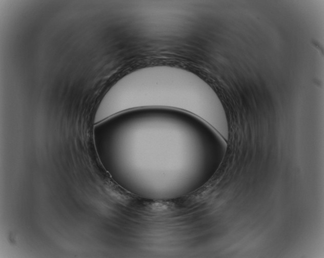 X0000092030566200709061353