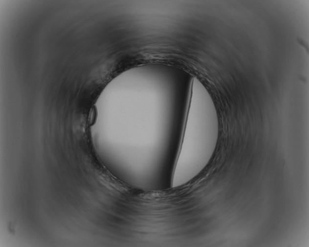 X0000092030567200709061353