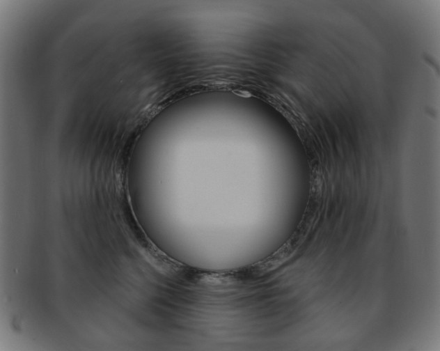 X0000092030568200709061353