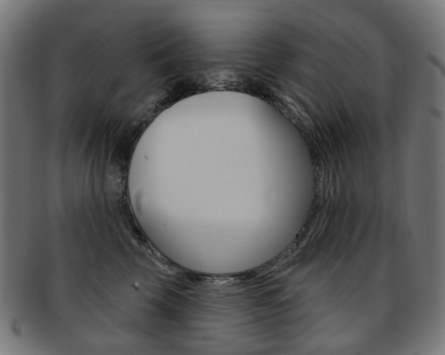 X0000092030569200709061353