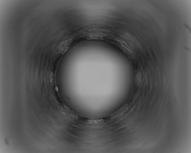 X0000092030571200709061353