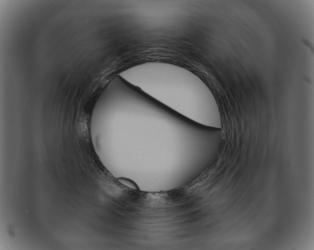 X0000092030573200709061353