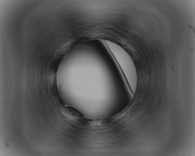 X0000092030574200709061353