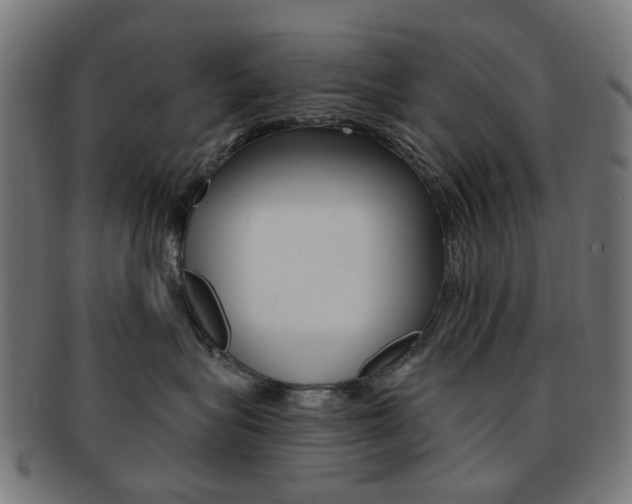 X0000092030575200709061353