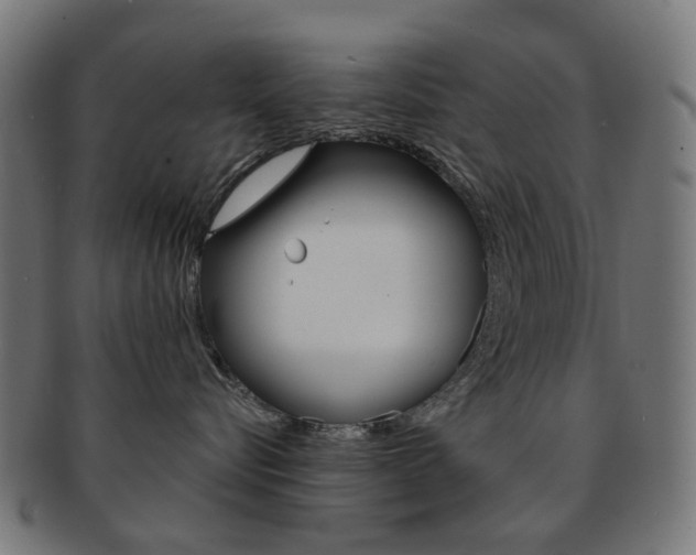 X0000092030576200709061353