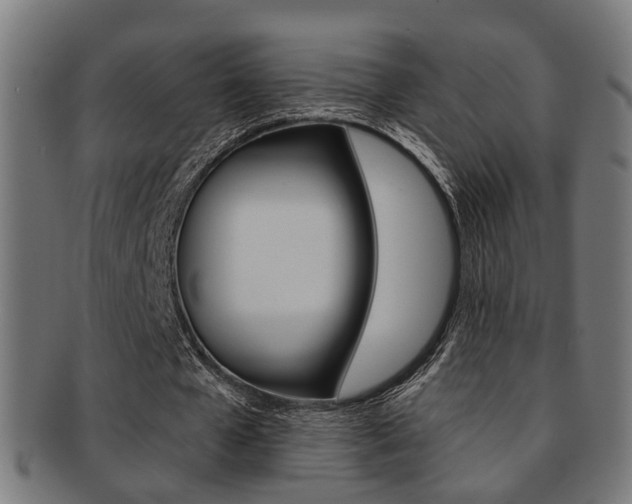 X0000092030577200709061352