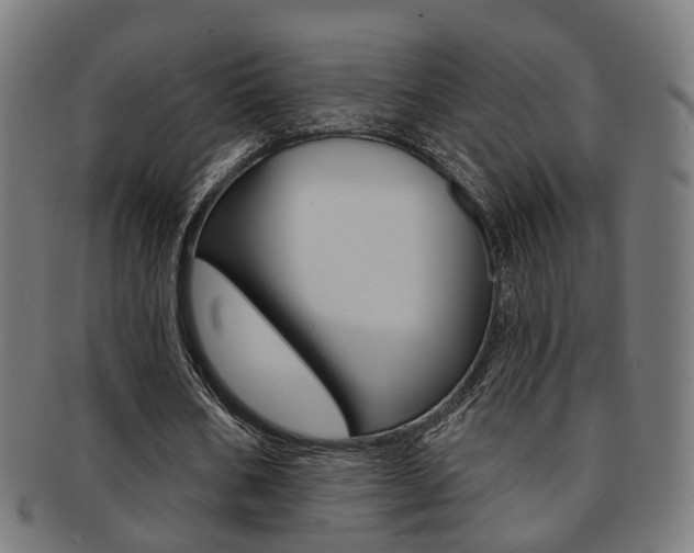 X0000092030578200709061352