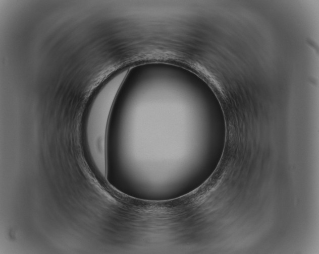 X0000092030581200709061352