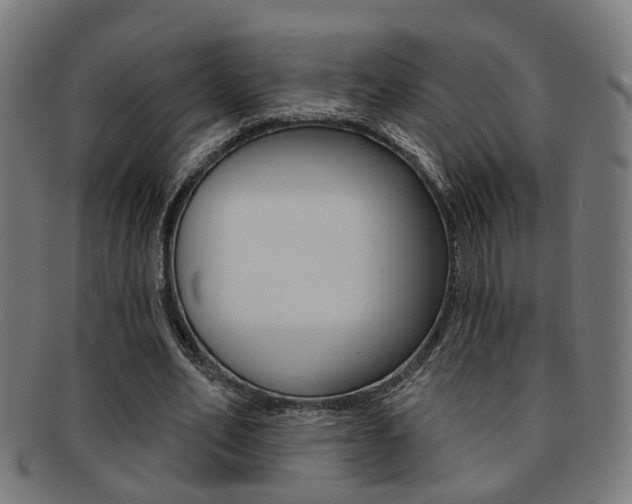X0000092030582200709061352