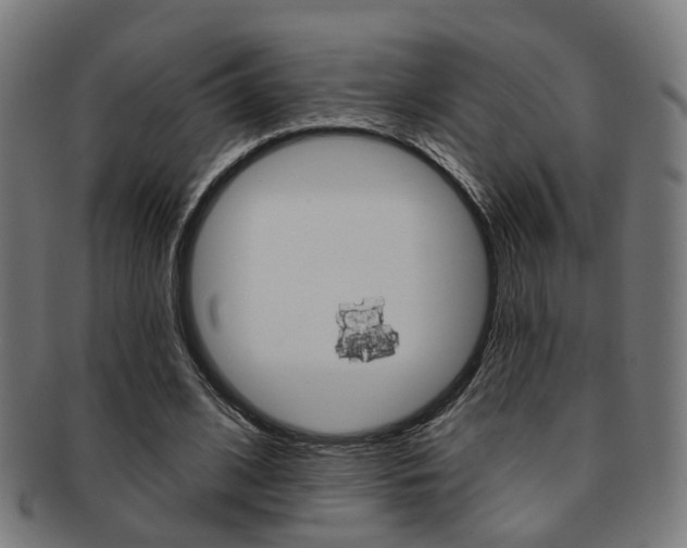 X0000092030584200709061352