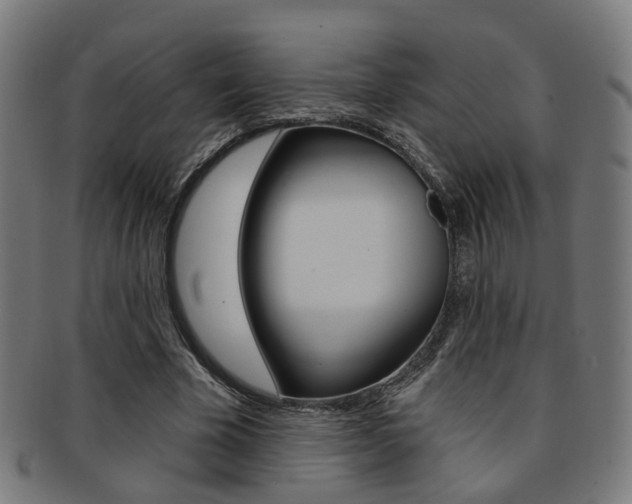 X0000092030585200709061352