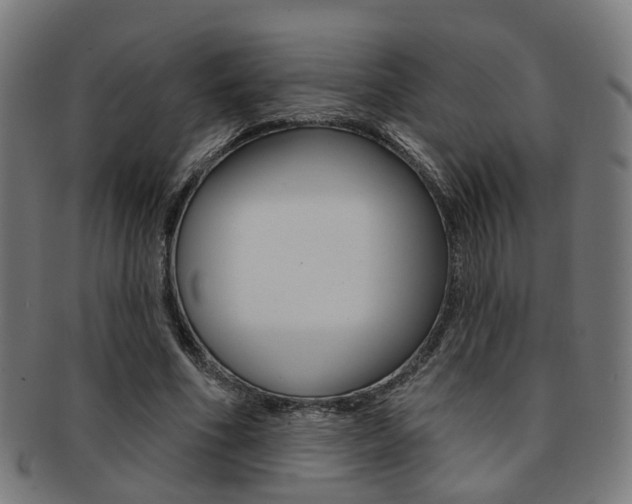 X0000092030586200709061352