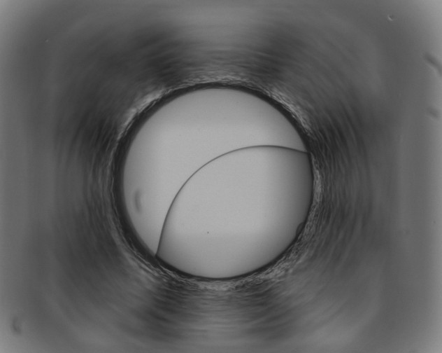 X0000092030587200709061352