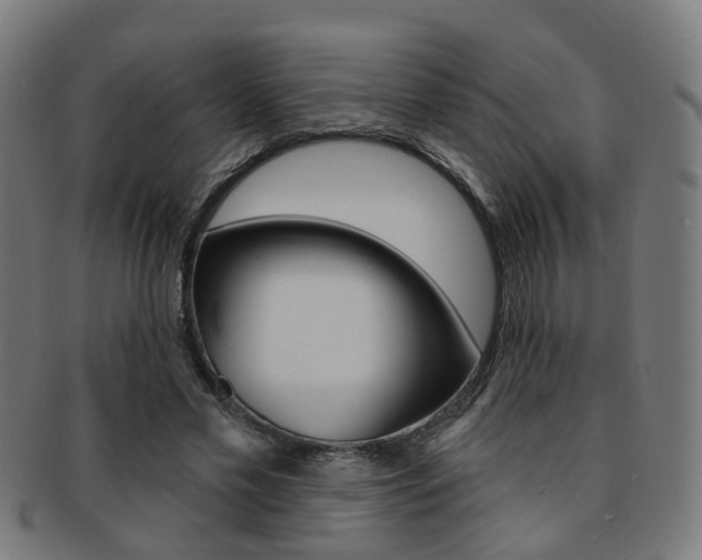 X0000092030589200709061352